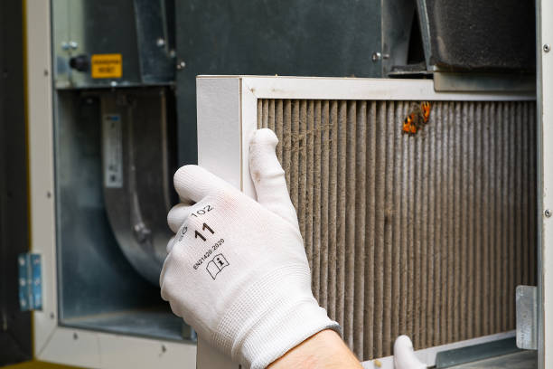 Best Professional Duct Cleaning Services  in Mattituck, NY