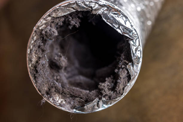 Best Emergency Air Duct Cleaning  in Mattituck, NY